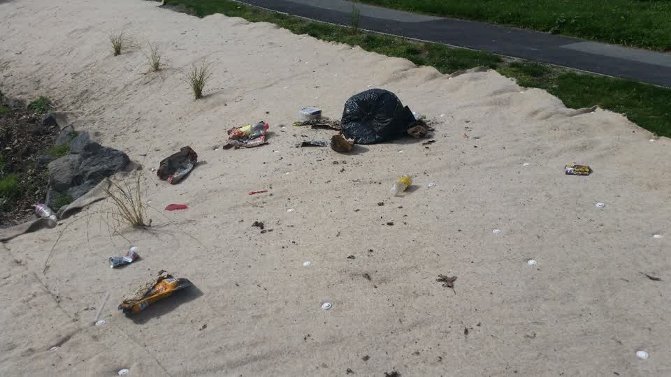 The photograph attached to this rubbish/recycling report