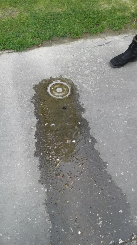 Water Supply, a report photo