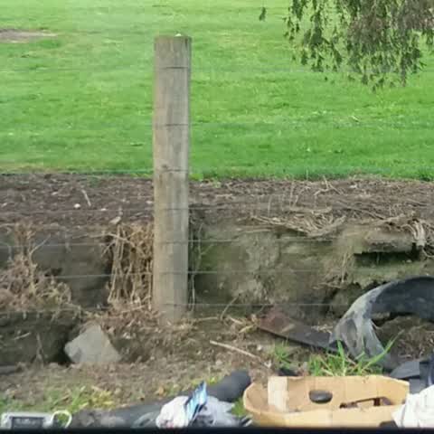 Rubbish/Recycling, a report photo