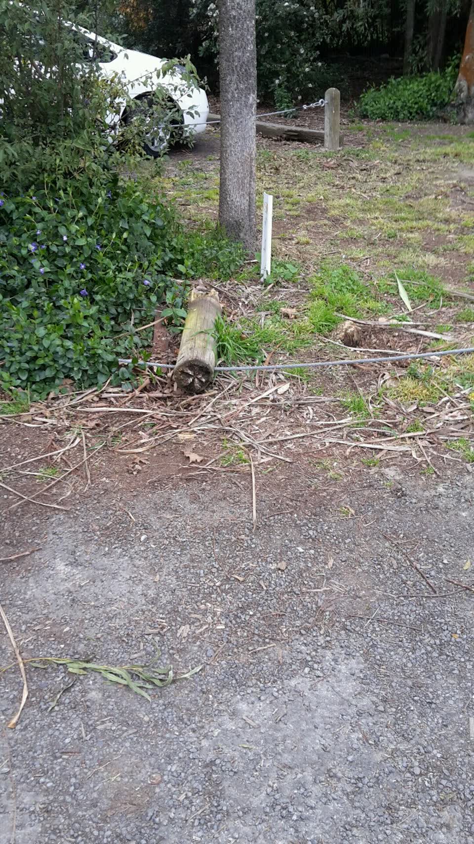 The photograph attached to this parks report