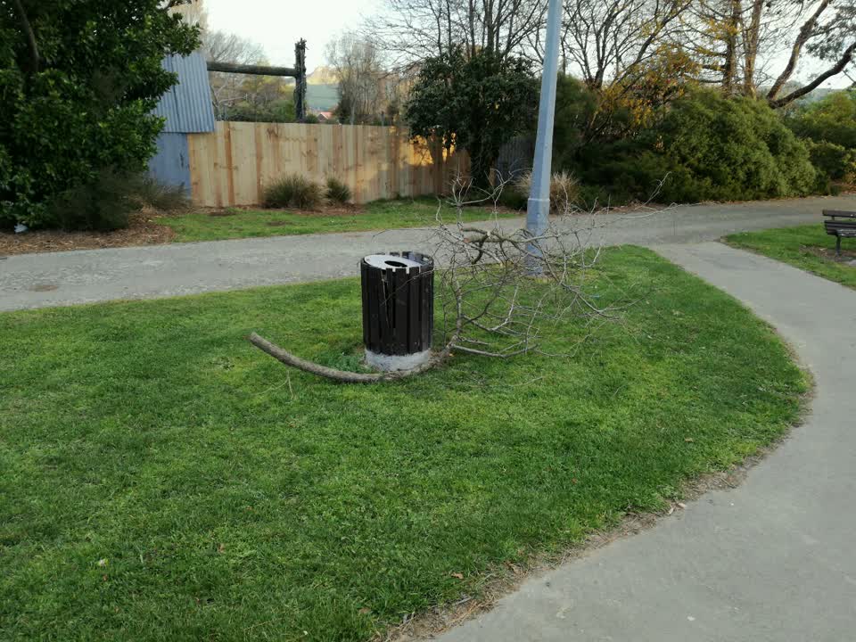 The photograph attached to this parks report