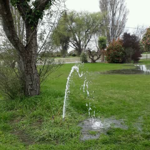 Water Supply, a report photo