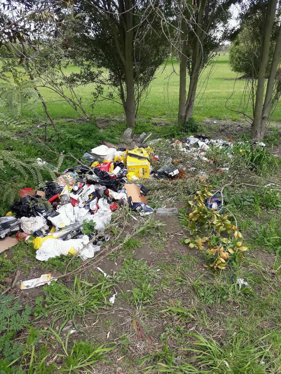 The photograph attached to this rubbish/recycling report