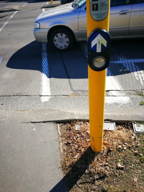 Roading/Streets, a report photo