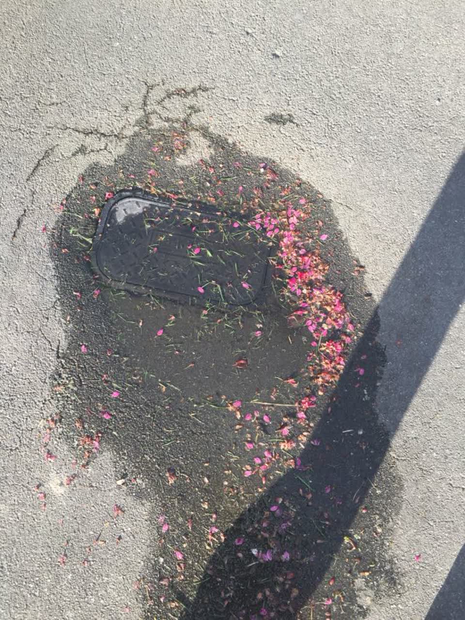The photograph attached to this water supply report