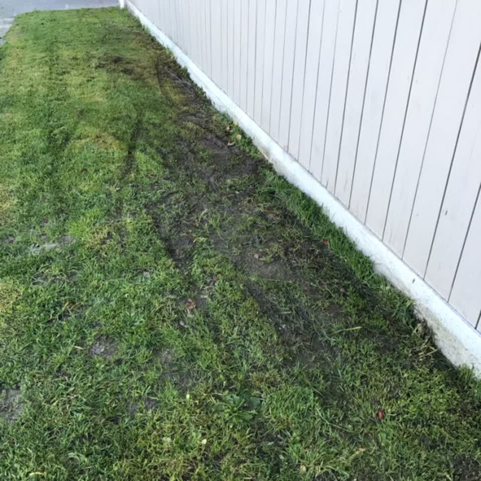 The photograph attached to this water supply report