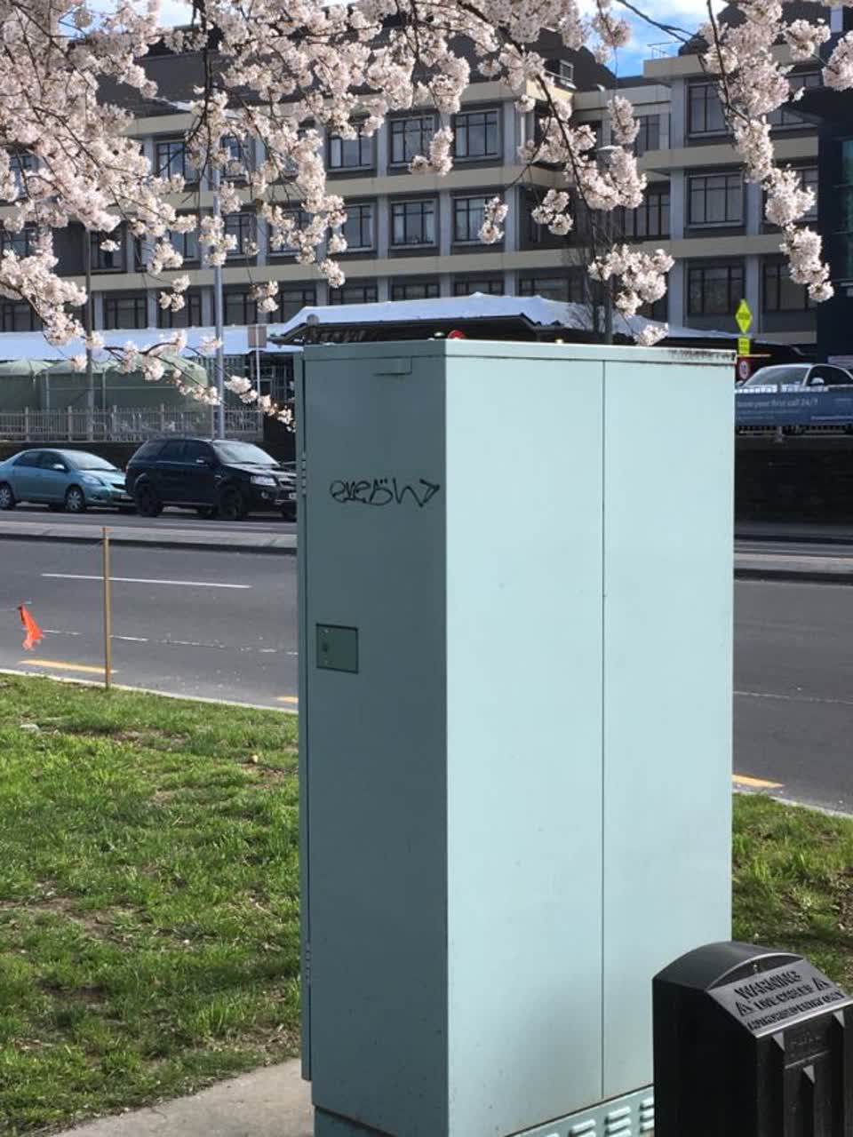 The photograph attached to this graffiti report