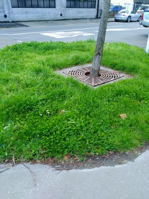 Parks, a report photo