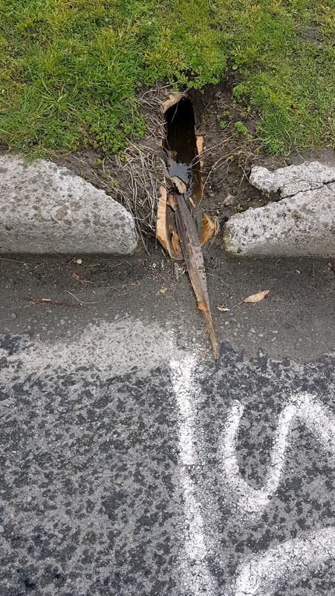 Wastewater/Stormwater, a report photo