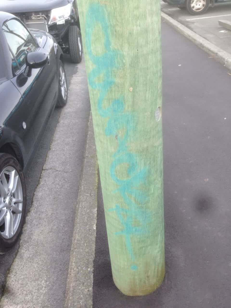 The photograph attached to this graffiti report