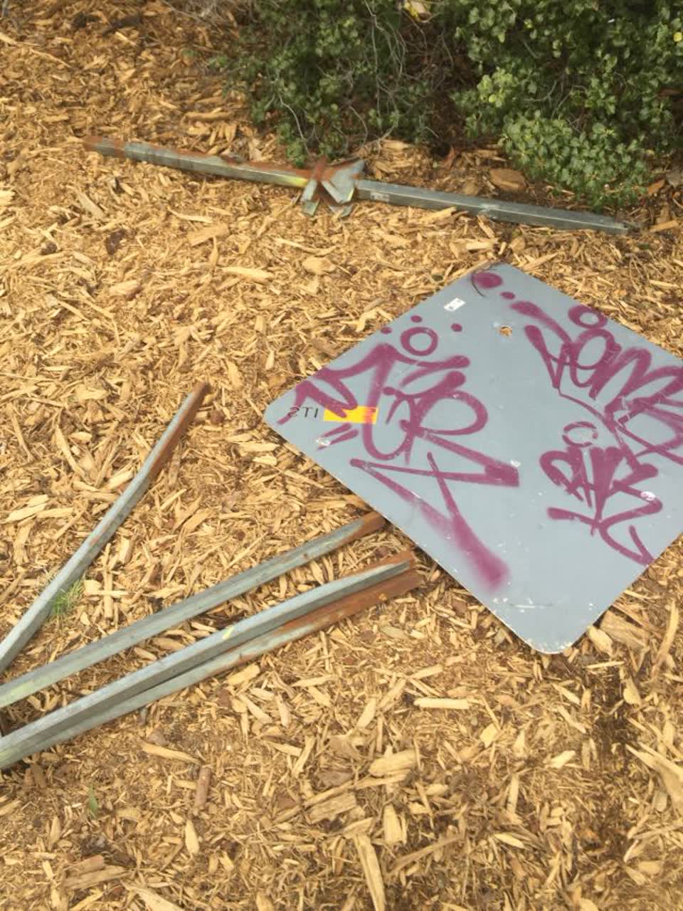 The photograph attached to this parks report