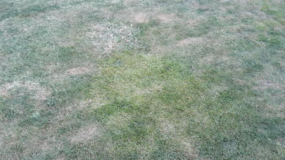 The photograph attached to this water supply report