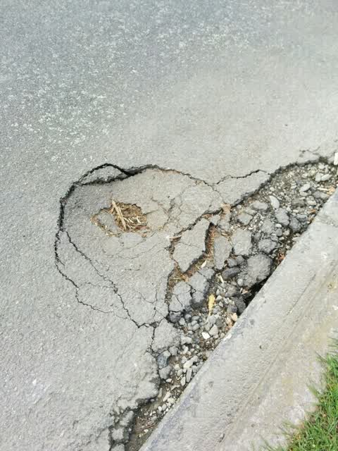 Roading/Streets, a report photo