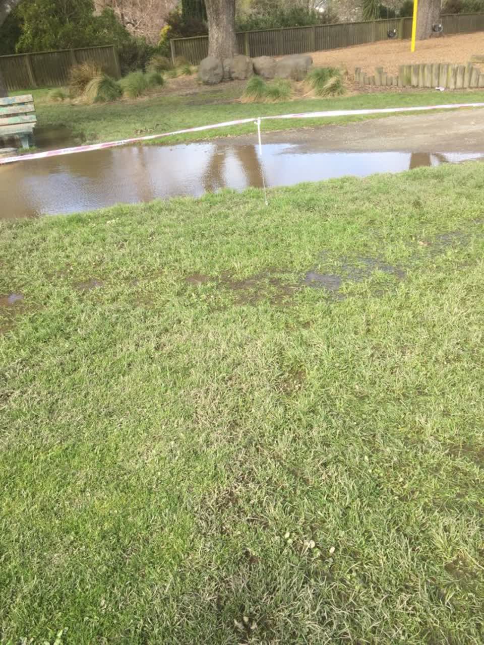 The photograph attached to this parks report