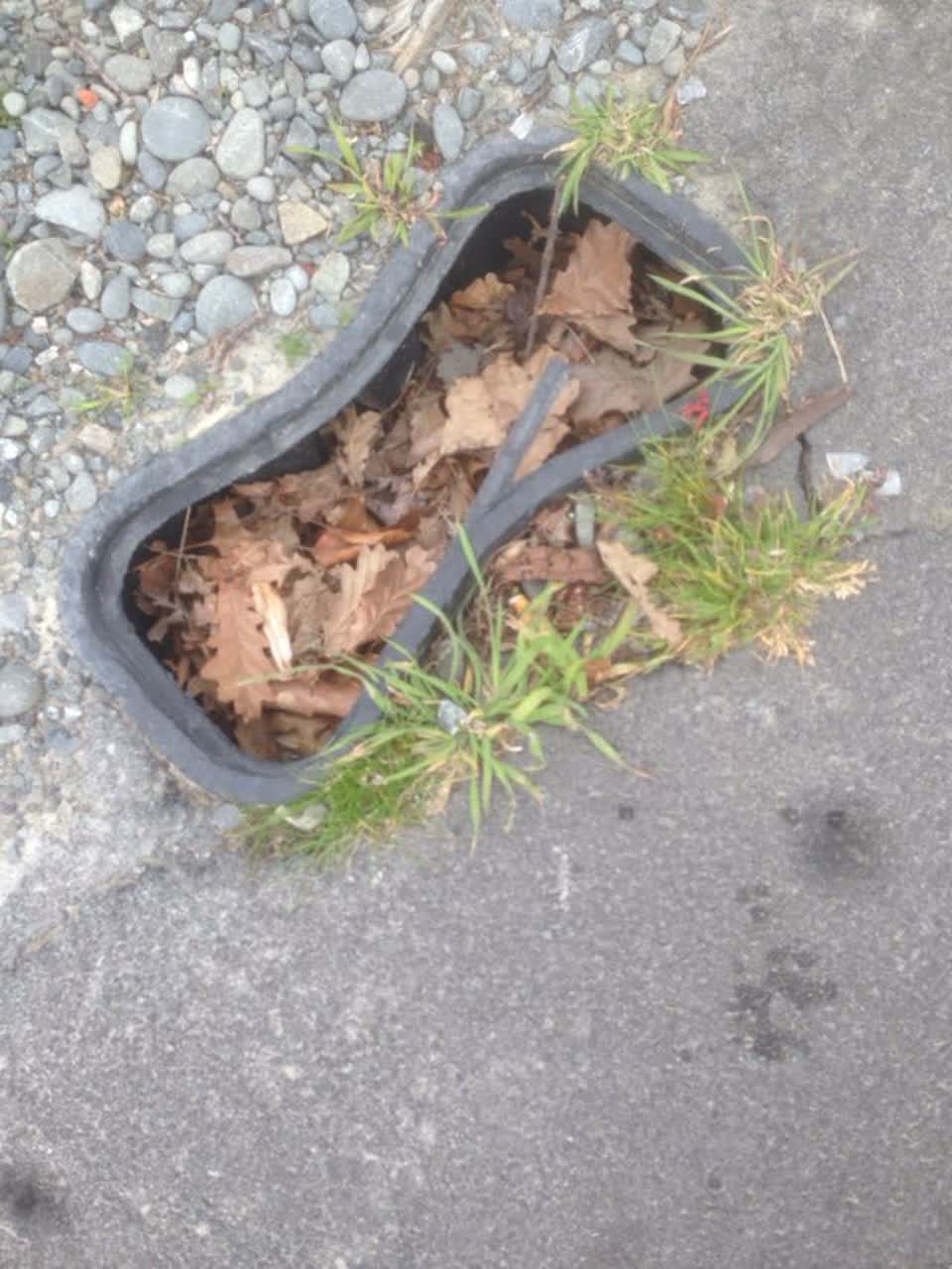 The photograph attached to this roading/streets report