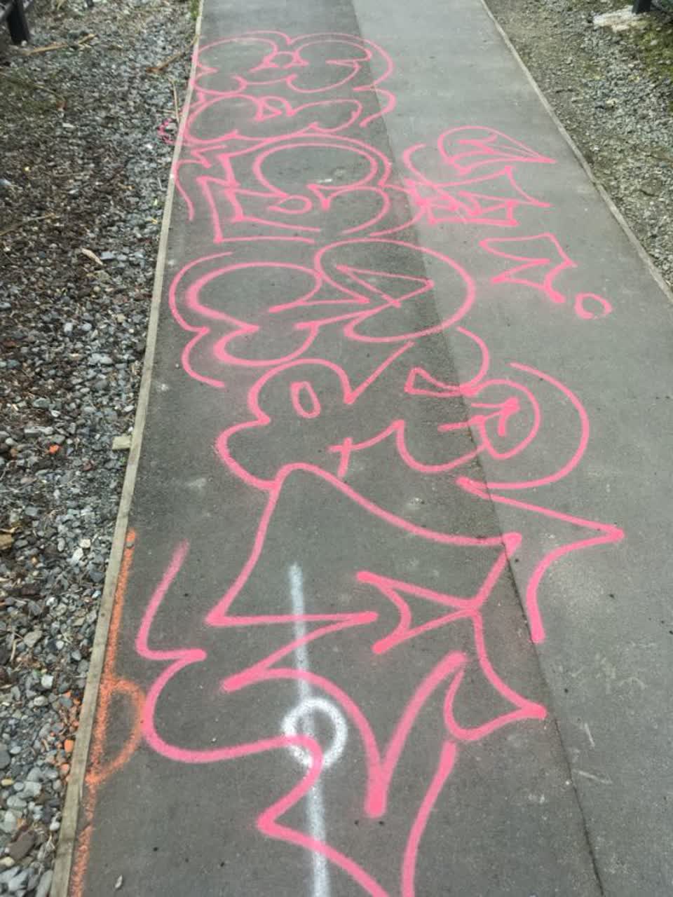The photograph attached to this graffiti report