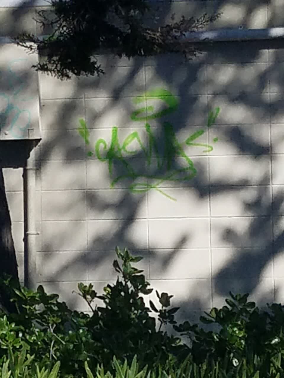 The photograph attached to this graffiti report