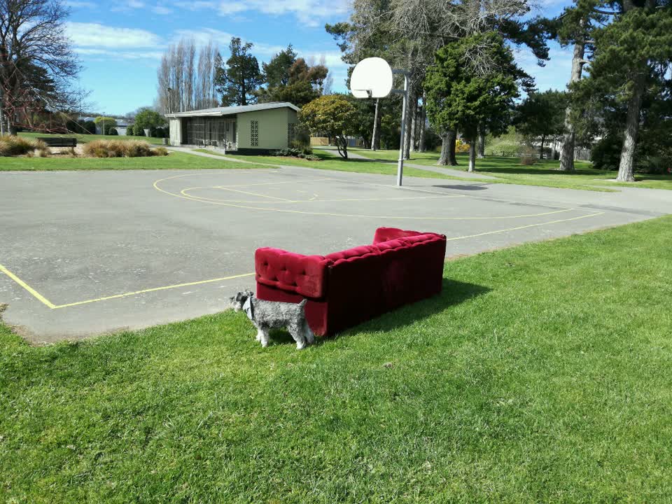 The photograph attached to this parks report