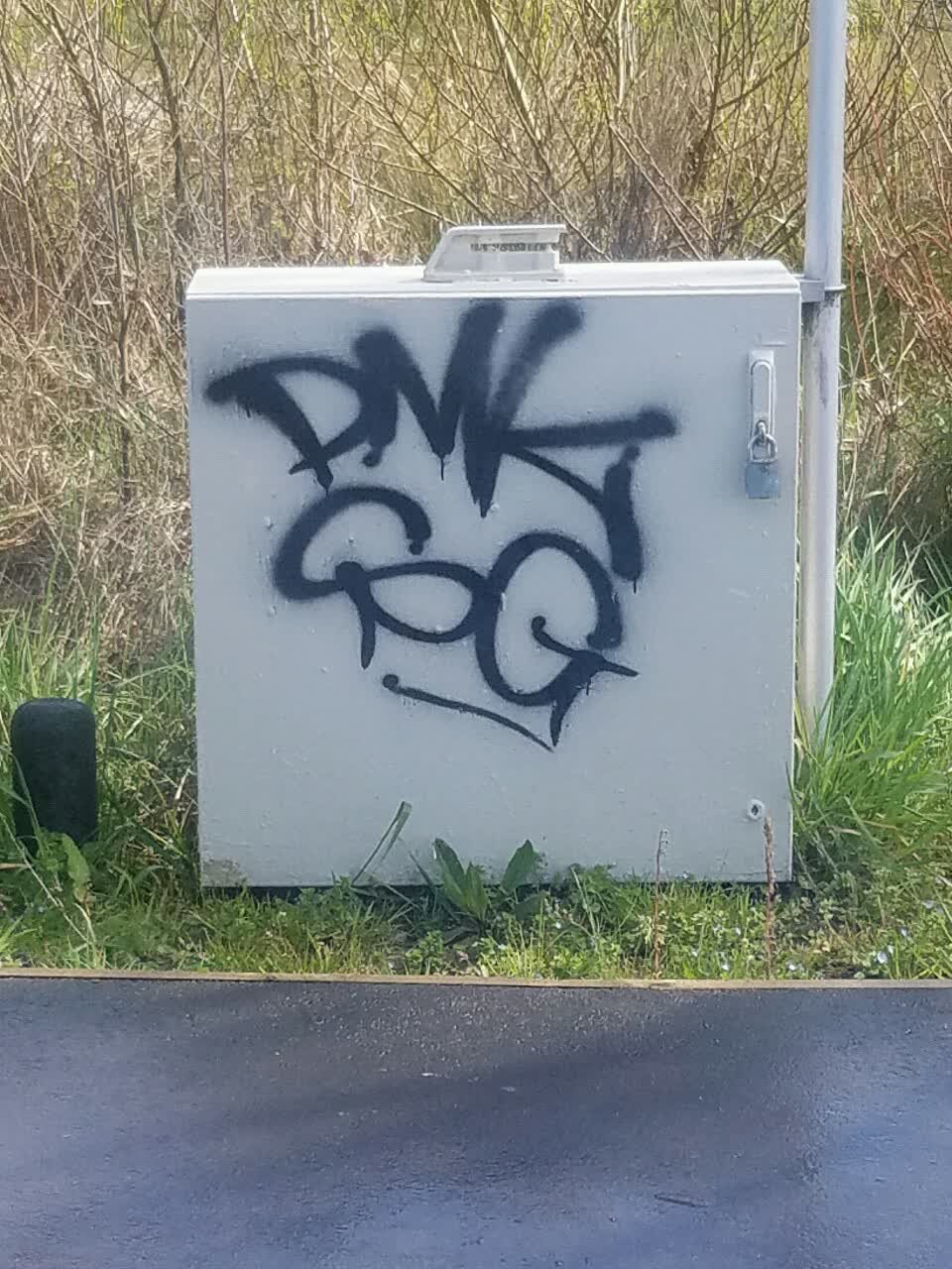 The photograph attached to this graffiti report