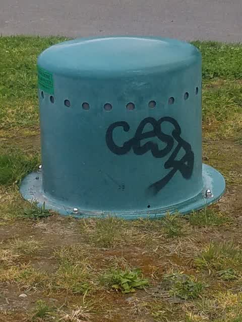 Graffiti, a report photo