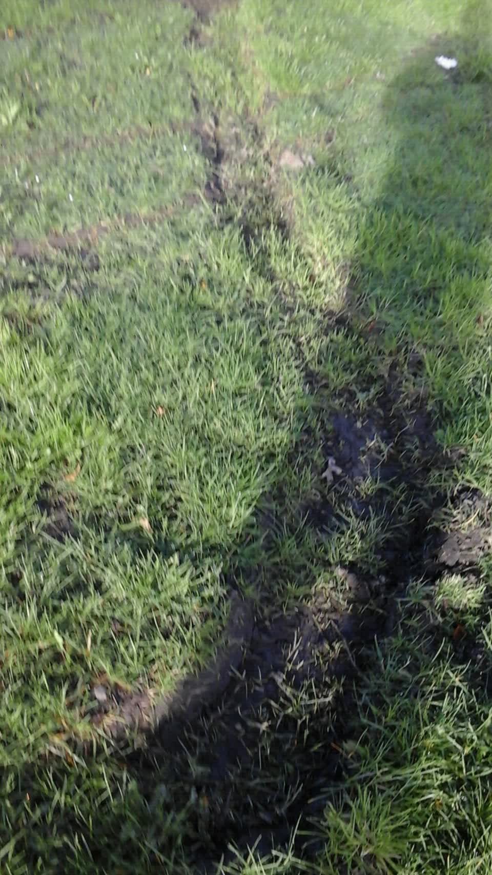 The photograph attached to this parks report