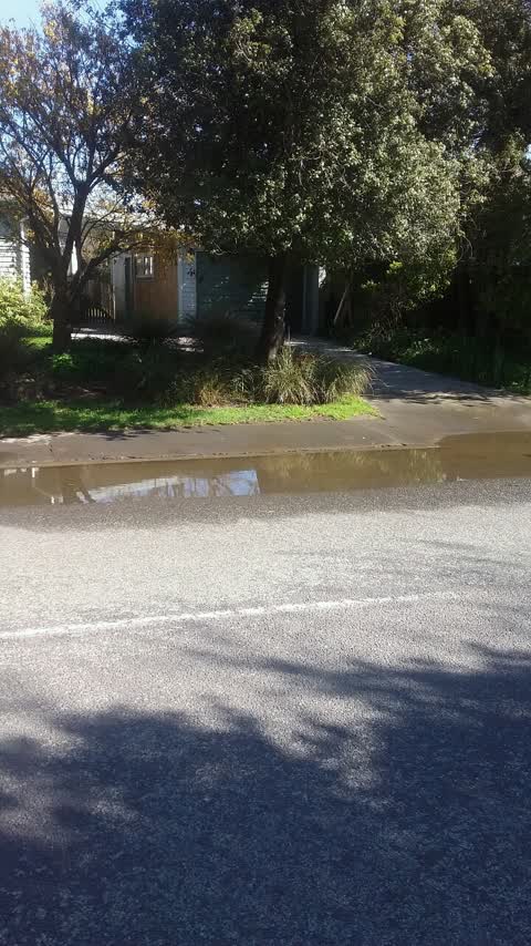 Water Supply, a report photo