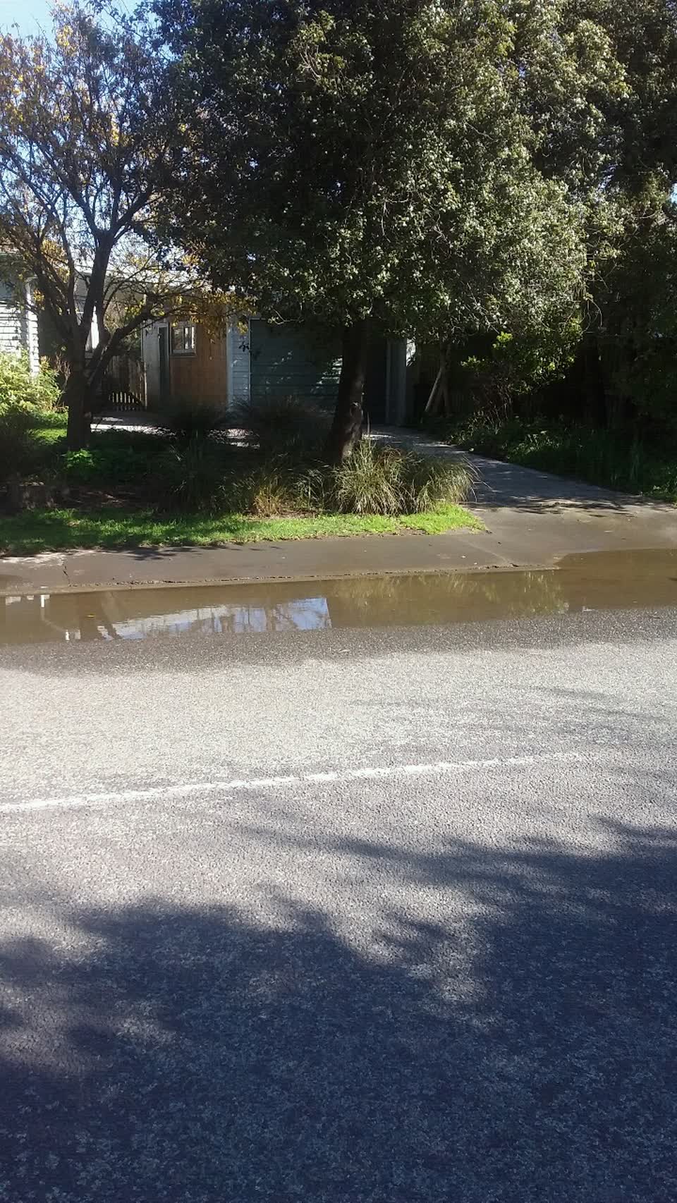 The photograph attached to this water supply report