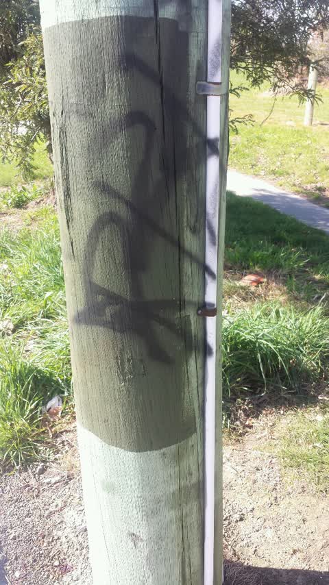 Graffiti — a report photo