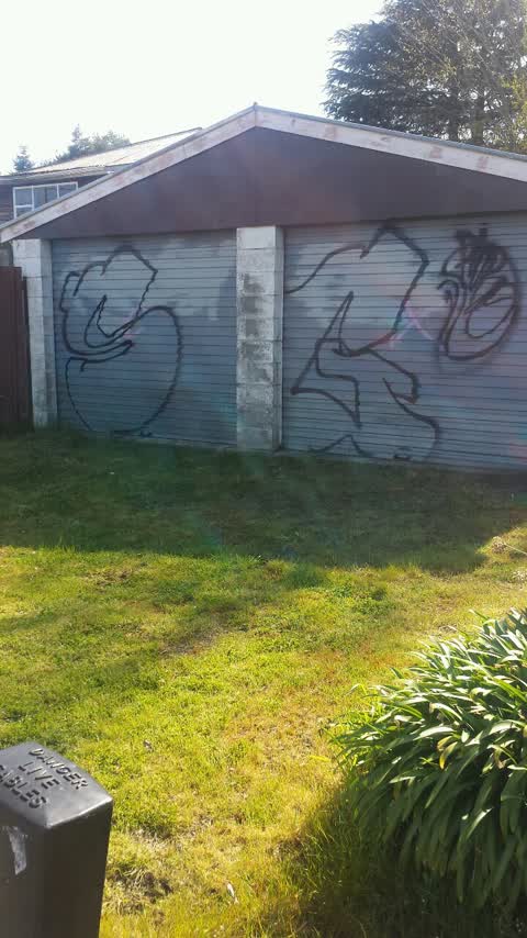 Graffiti, a report photo