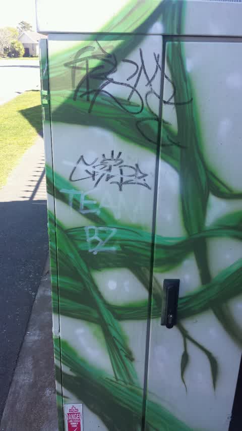 Graffiti, a report photo