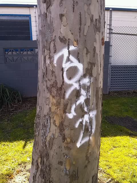 Graffiti — a report photo