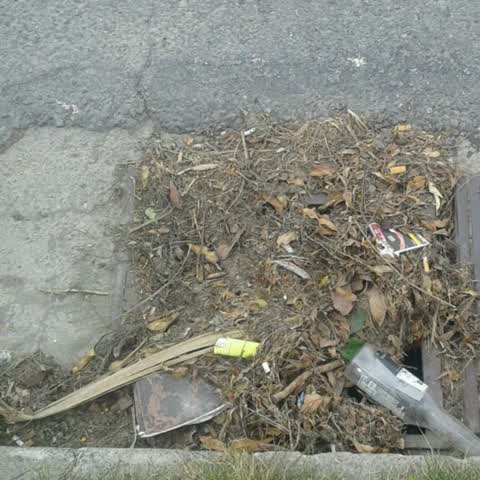Wastewater/Stormwater, a report photo