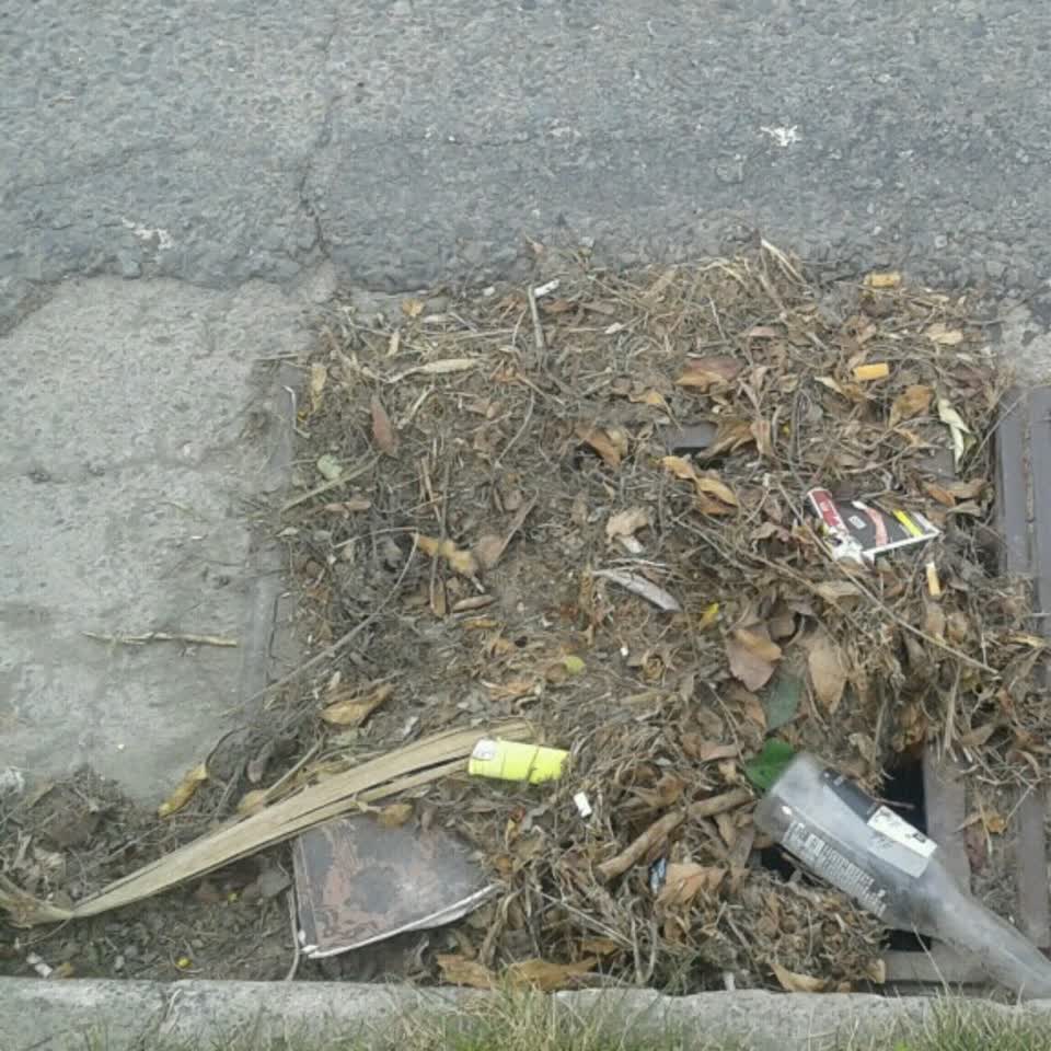 The photograph attached to this wastewater/stormwater report