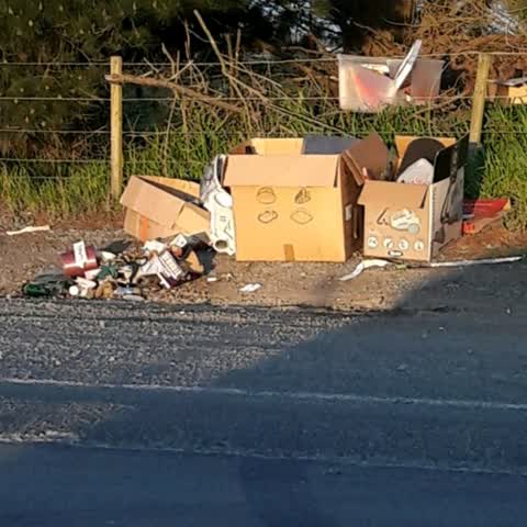 Rubbish/Recycling, a report photo