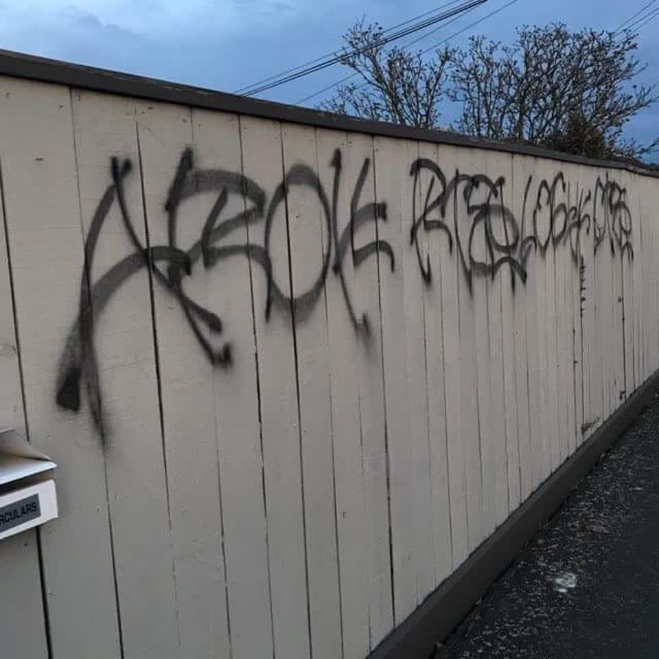 The photograph attached to this graffiti report