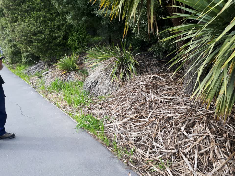 The photograph attached to this parks report