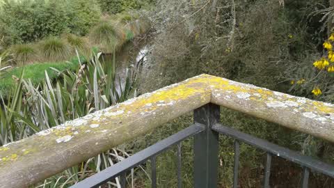 Parks, a report photo