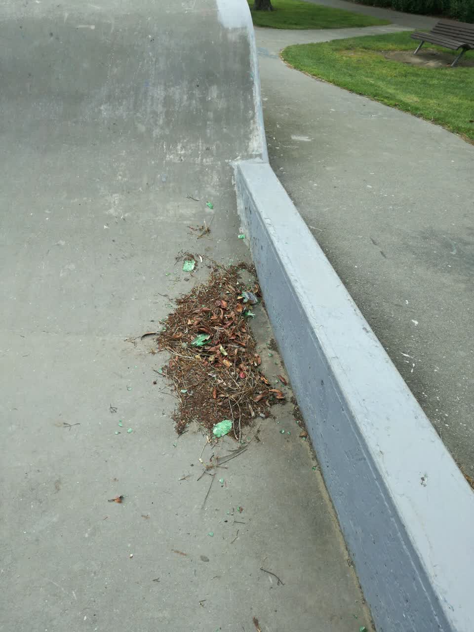 The photograph attached to this parks report