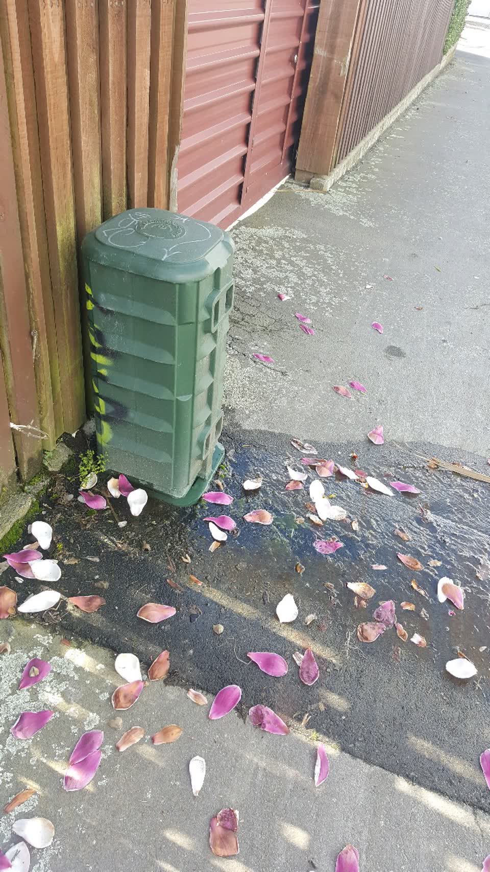 The photograph attached to this water supply report