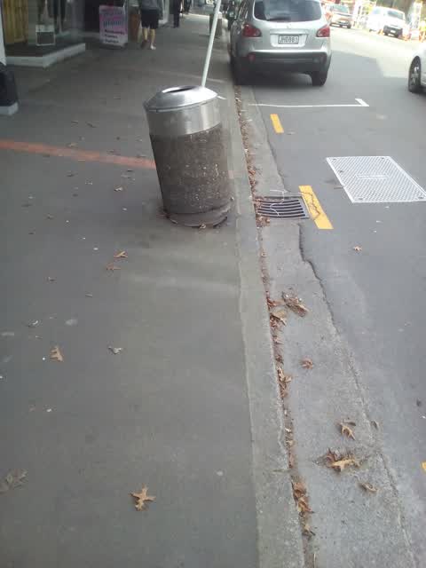 Rubbish/Recycling, a report photo