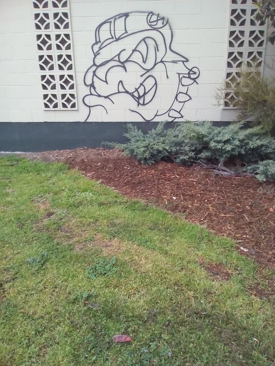 The photograph attached to this graffiti report