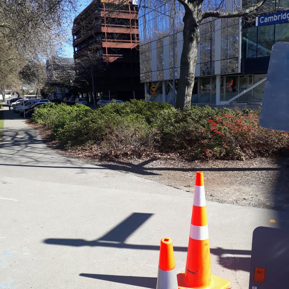 The photograph attached to this parks report