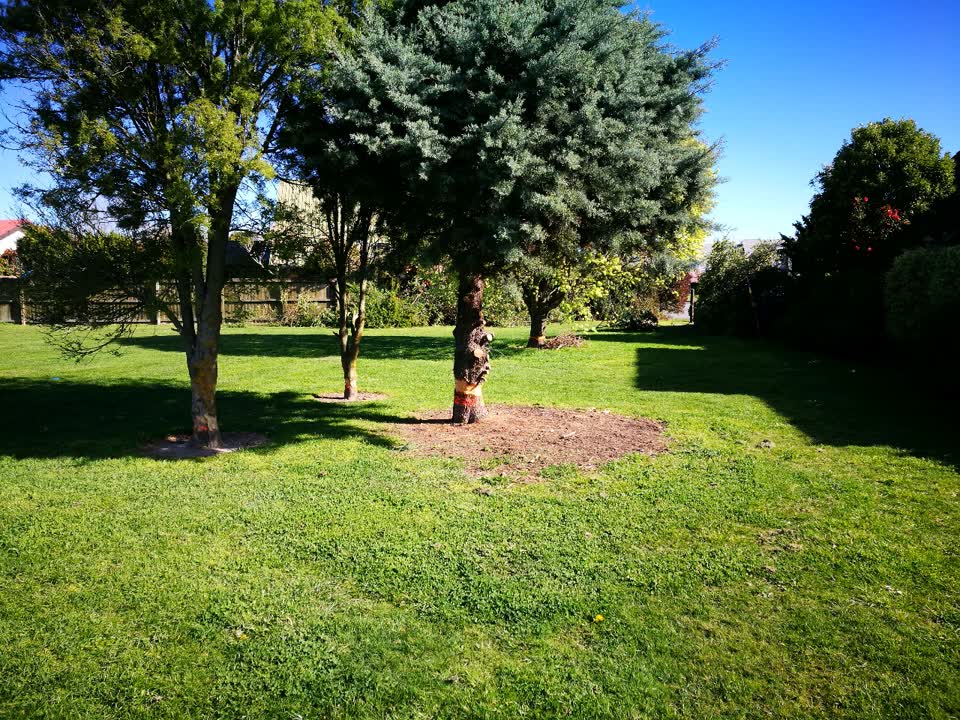 The photograph attached to this parks report