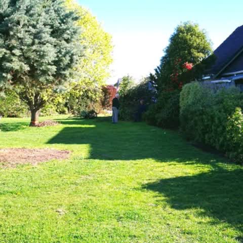 Parks, a report photo
