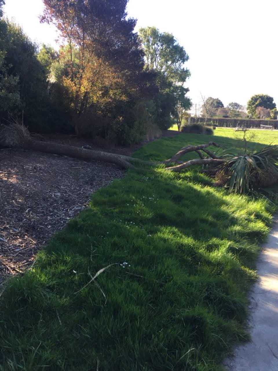 The photograph attached to this parks report