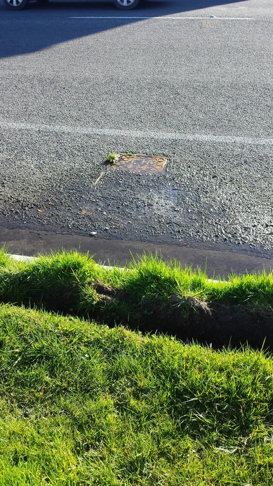 The photograph attached to this water supply report