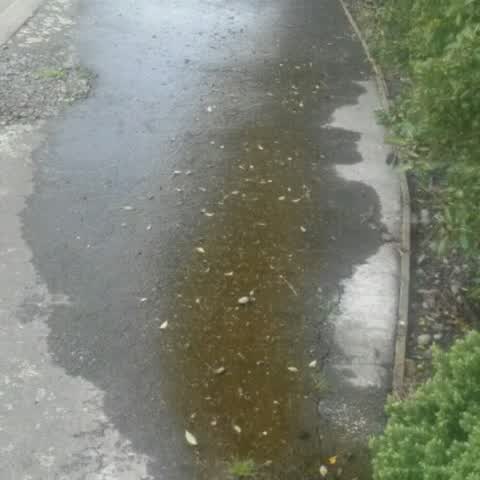 Water Supply, a report photo