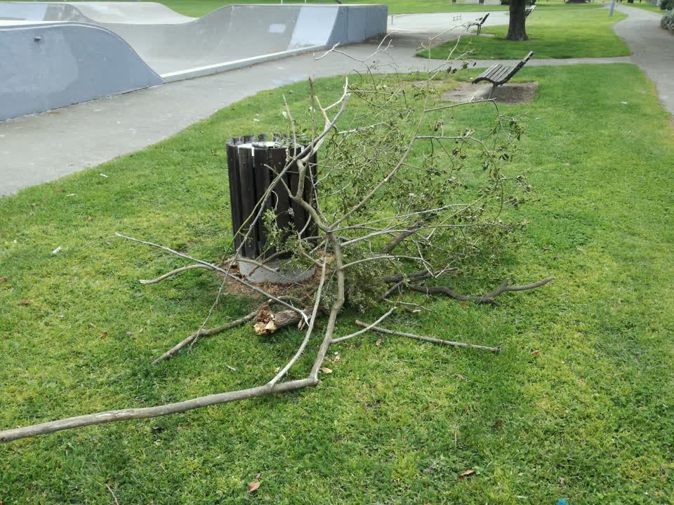 The photograph attached to this parks report