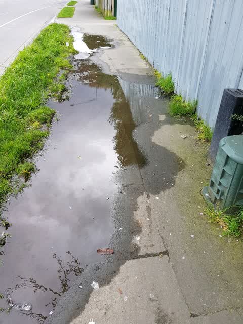 Water Supply, a report photo