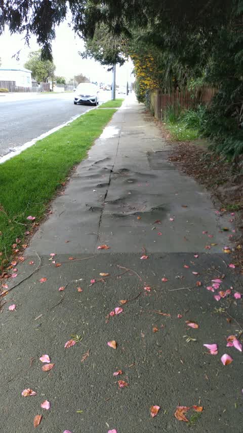 Roading/Streets, a report photo